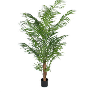 Konstväxt Palm, Areca 180 cm rak
